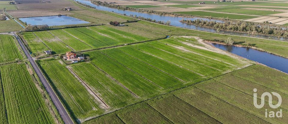 Terreno agricolo di 0 m² in Goro (44020)