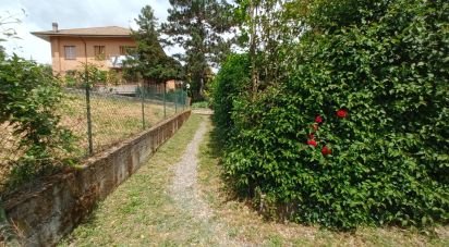 Trilocale di 72 m² a Castelletto d'Orba (15060)