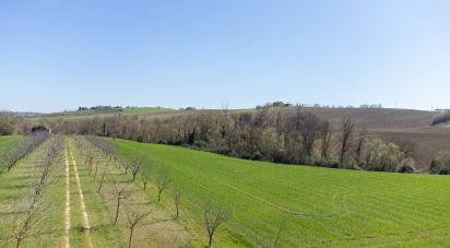 Terreno agricolo di 14.000 m² in Filottrano (60024)