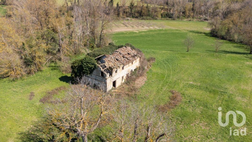 Terreno agricolo di 14.000 m² in Filottrano (60024)