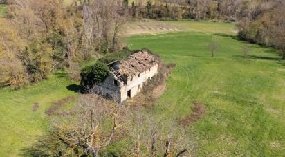 Terreno agricolo di 14.000 m² in Filottrano (60024)