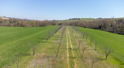 Terreno agricolo di 14.000 m² in Filottrano (60024)