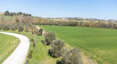 Terreno agricolo di 14.000 m² in Filottrano (60024)