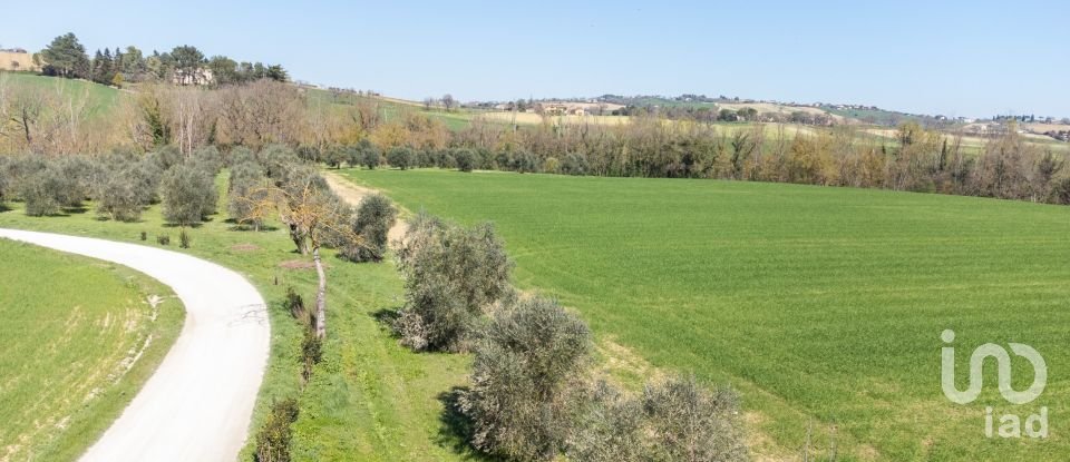 Terreno agricolo di 14.000 m² in Filottrano (60024)