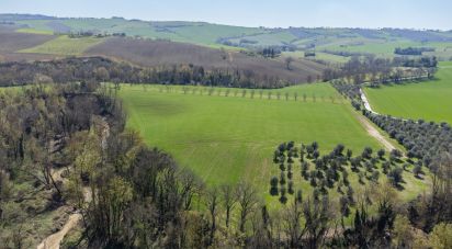 Terreno agricolo di 14.000 m² in Filottrano (60024)