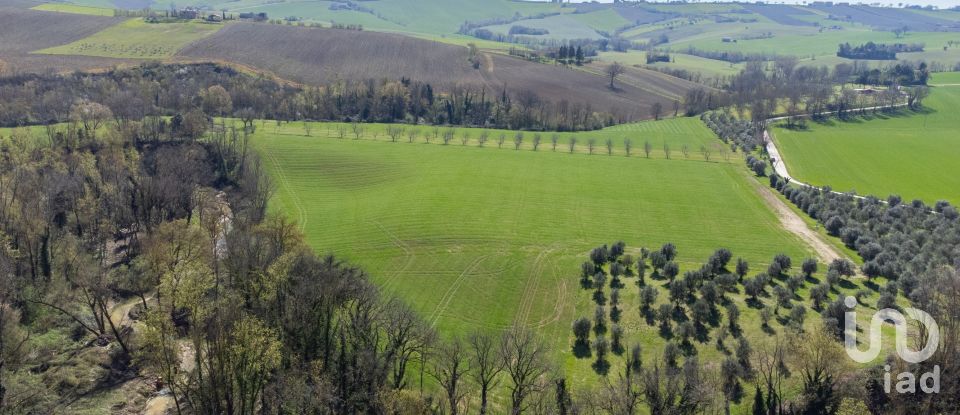 Terreno agricolo di 14.000 m² in Filottrano (60024)