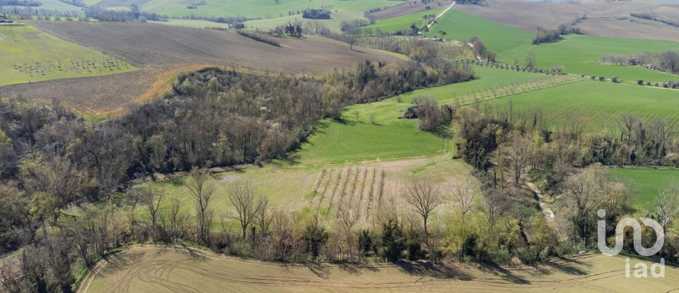 Terreno agricolo di 14.000 m² in Filottrano (60024)