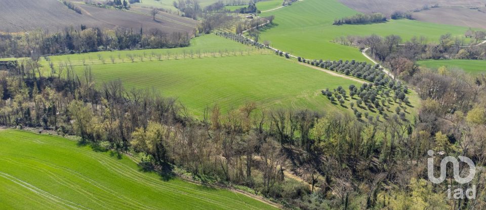 Terreno agricolo di 14.000 m² in Filottrano (60024)