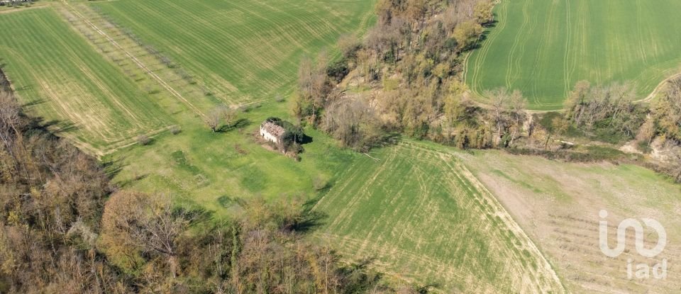 Terreno agricolo di 14.000 m² in Filottrano (60024)