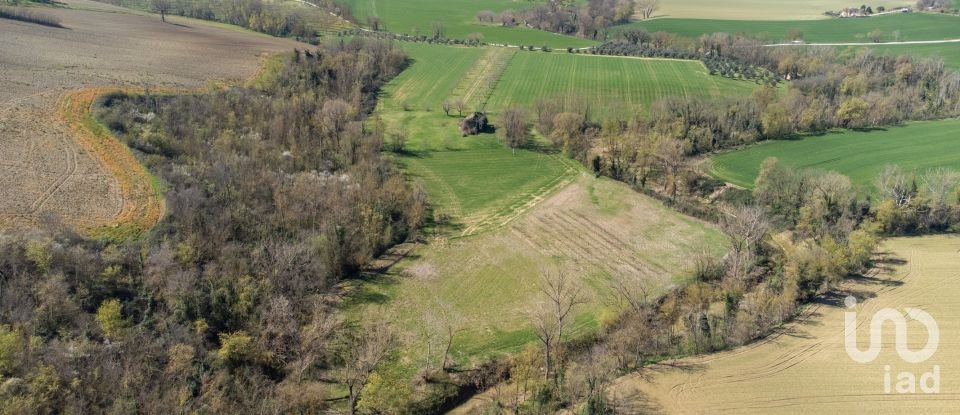 Terreno agricolo di 14.000 m² in Filottrano (60024)