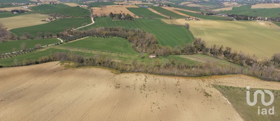 Terreno agricolo di 14.000 m² in Filottrano (60024)