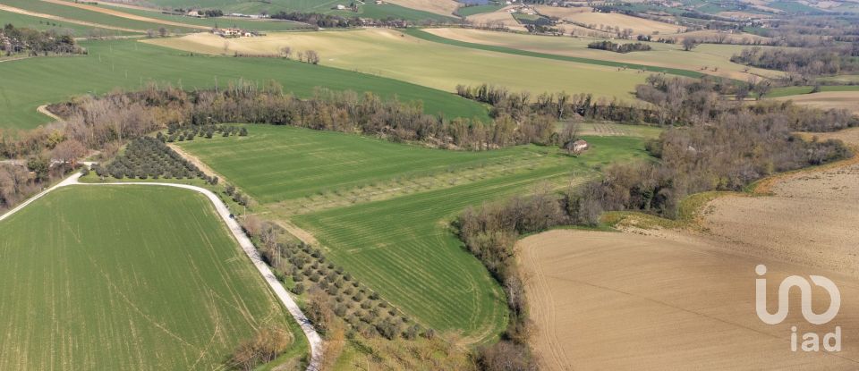 Terreno agricolo di 14.000 m² in Filottrano (60024)