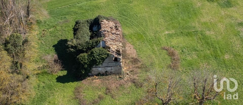 Terreno agricolo di 14.000 m² in Filottrano (60024)