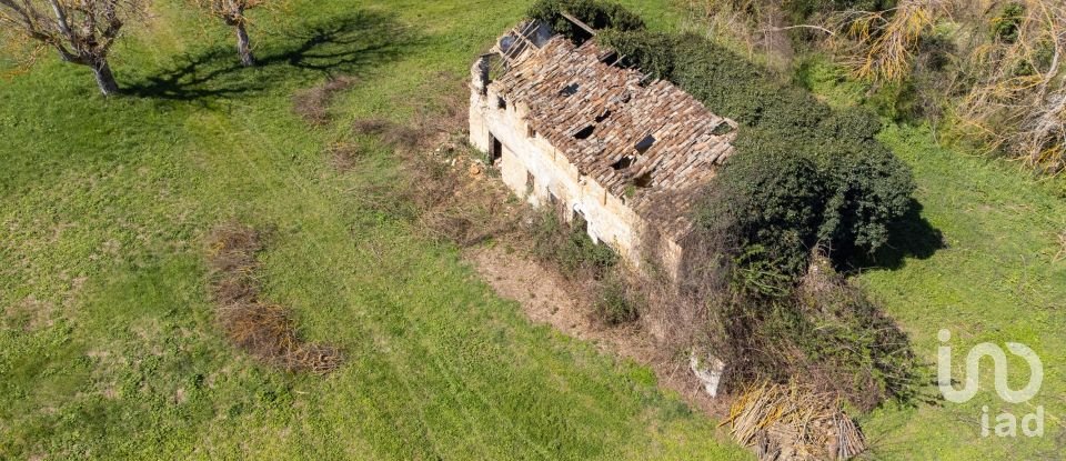 Terreno agricolo di 14.000 m² in Filottrano (60024)