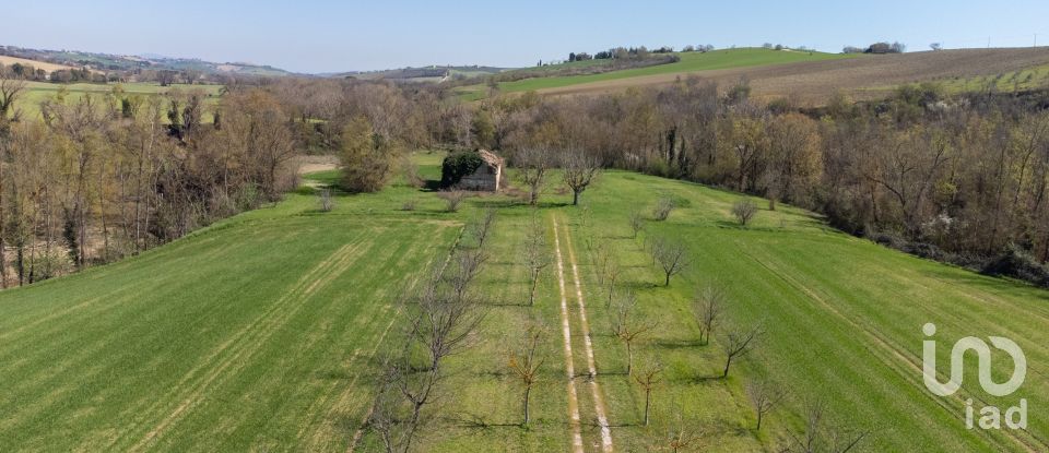 Terreno agricolo di 14.000 m² in Filottrano (60024)