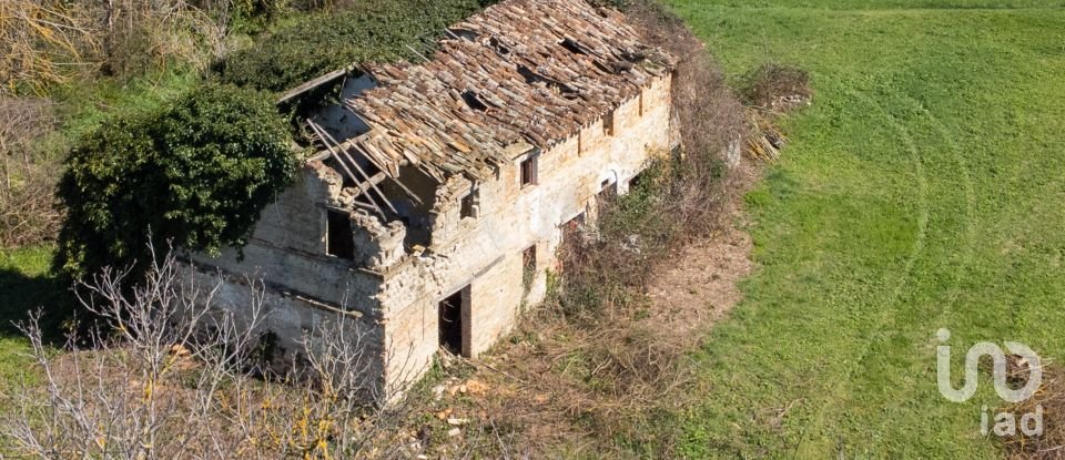 Terreno agricolo di 14.000 m² in Filottrano (60024)