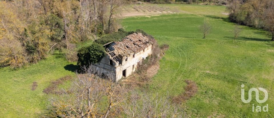 Terreno agricolo di 14.000 m² in Filottrano (60024)