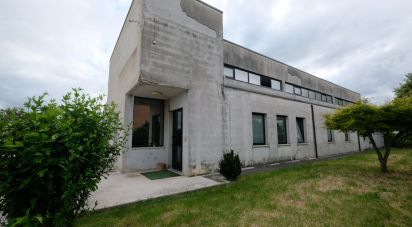 Capannone di 650 m² in Belvedere Ostrense (60030)