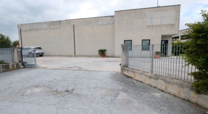Capannone di 650 m² in Belvedere Ostrense (60030)