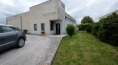 Capannone di 650 m² in Belvedere Ostrense (60030)