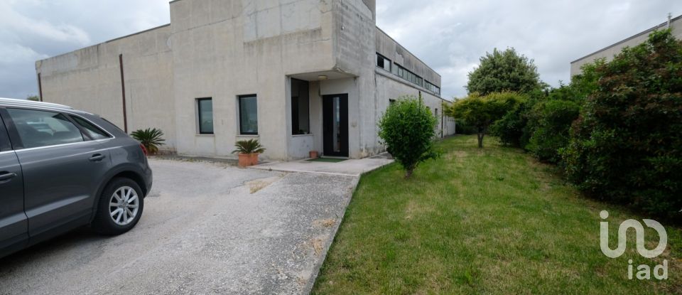 Capannone di 650 m² in Belvedere Ostrense (60030)