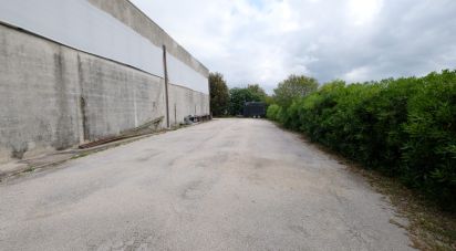 Capannone di 650 m² in Belvedere Ostrense (60030)