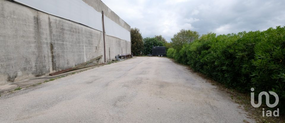 Capannone di 650 m² in Belvedere Ostrense (60030)