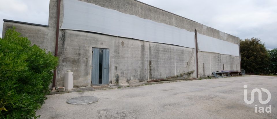 Capannone di 650 m² in Belvedere Ostrense (60030)