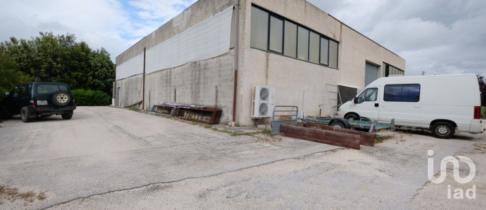 Capannone di 650 m² in Belvedere Ostrense (60030)