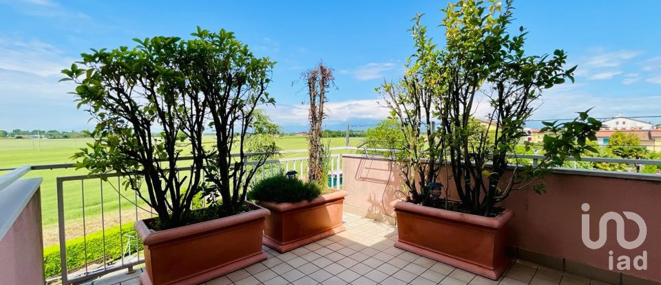 Quadrilocale di 210 m² a Motta di Livenza (31045)