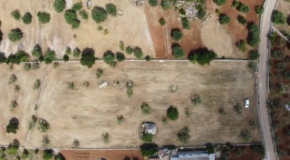 Trullo 2 locali di 60 m² in Cisternino (72014)