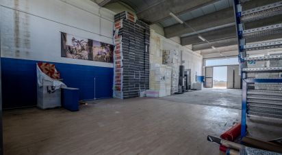 Capannone di 600 m² in Guidizzolo (46040)