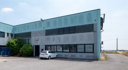 Capannone di 600 m² in Guidizzolo (46040)