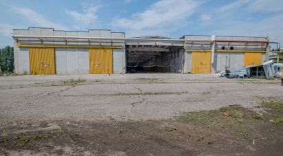 Capannone di 8.000 m² in Volta Mantovana (46049)
