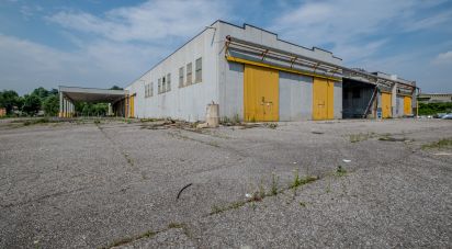 Capannone di 8.000 m² in Volta Mantovana (46049)