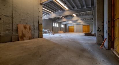 Capannone di 8.000 m² in Volta Mantovana (46049)