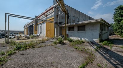 Capannone di 8.000 m² in Volta Mantovana (46049)