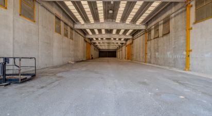 Capannone di 8.000 m² in Volta Mantovana (46049)