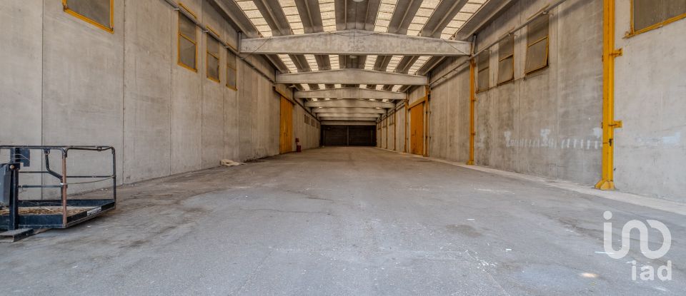 Capannone di 8.000 m² in Volta Mantovana (46049)