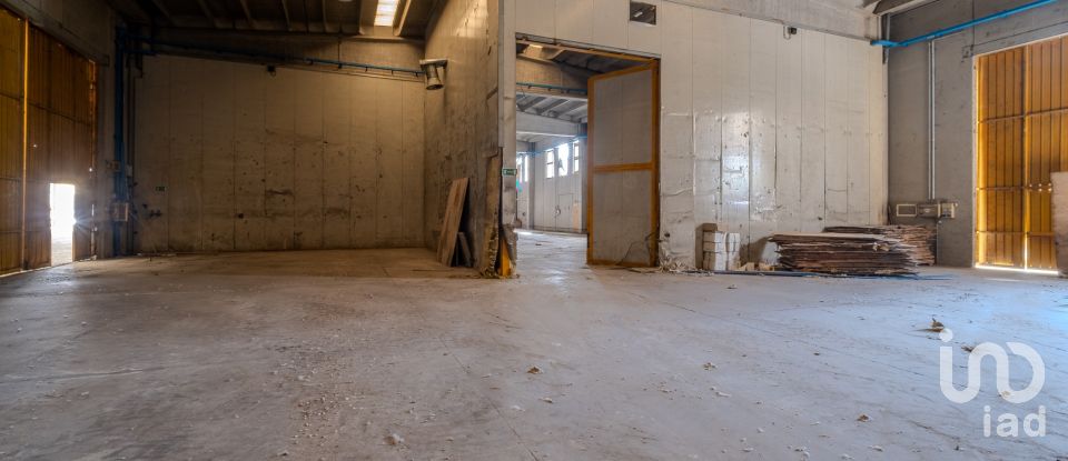 Capannone di 8.000 m² in Volta Mantovana (46049)