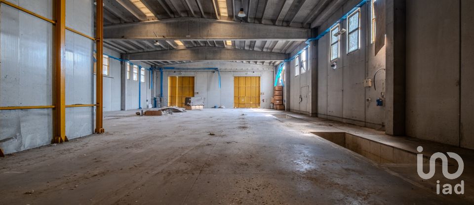 Capannone di 8.000 m² in Volta Mantovana (46049)