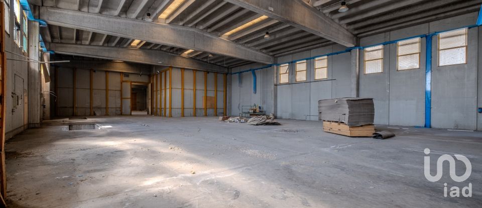 Capannone di 8.000 m² in Volta Mantovana (46049)