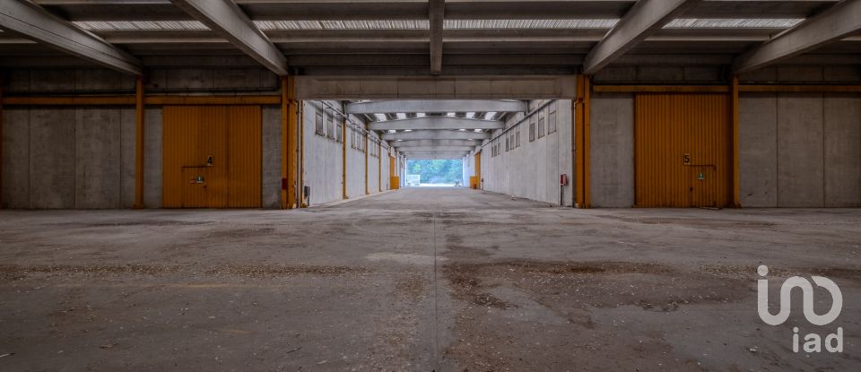 Capannone di 8.000 m² in Volta Mantovana (46049)