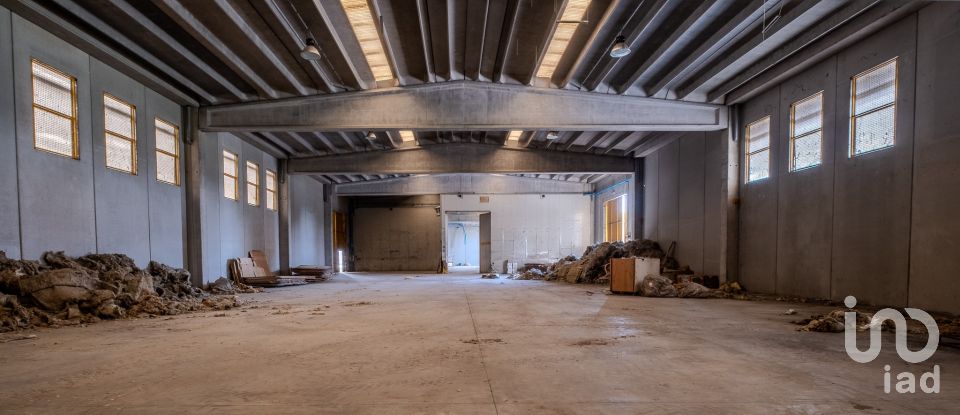 Capannone di 8.000 m² in Volta Mantovana (46049)