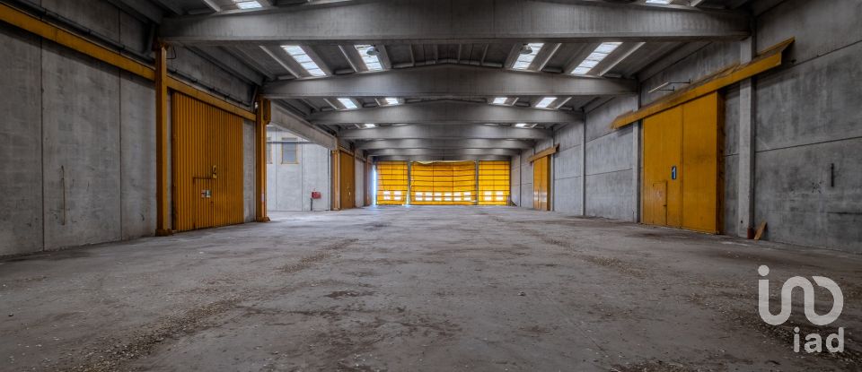 Capannone di 8.000 m² in Volta Mantovana (46049)