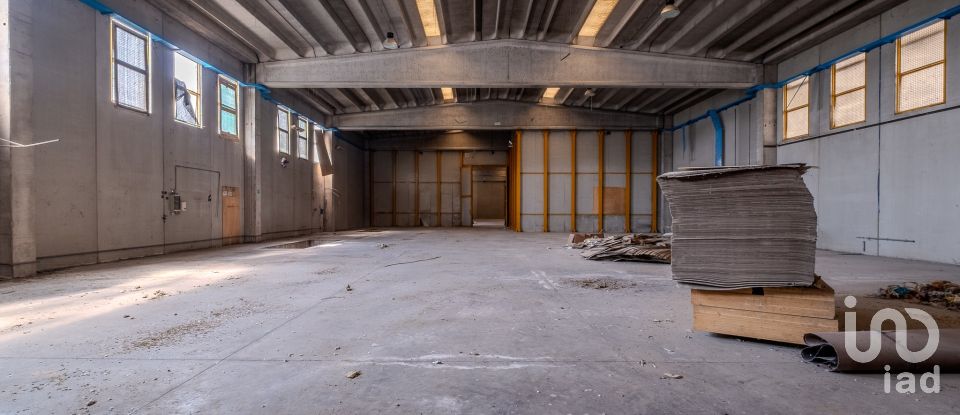 Capannone di 8.000 m² in Volta Mantovana (46049)