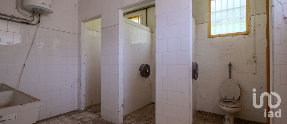 Capannone di 8.000 m² in Volta Mantovana (46049)