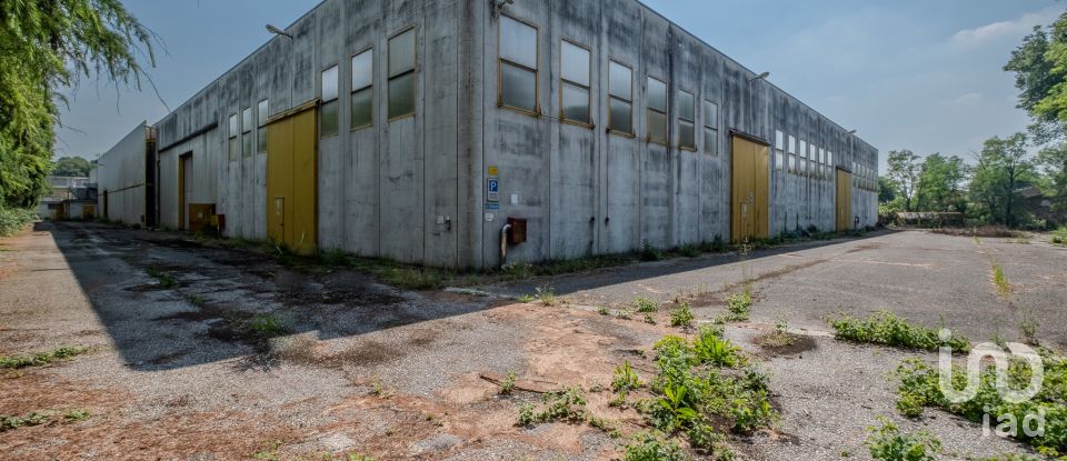 Capannone di 8.000 m² in Volta Mantovana (46049)