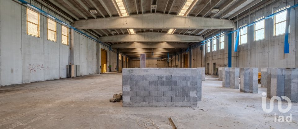 Capannone di 8.000 m² in Volta Mantovana (46049)