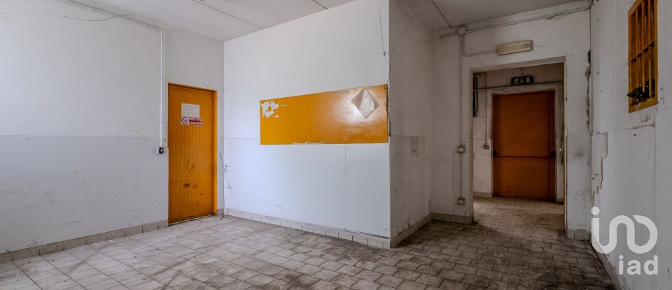 Capannone di 8.000 m² in Volta Mantovana (46049)